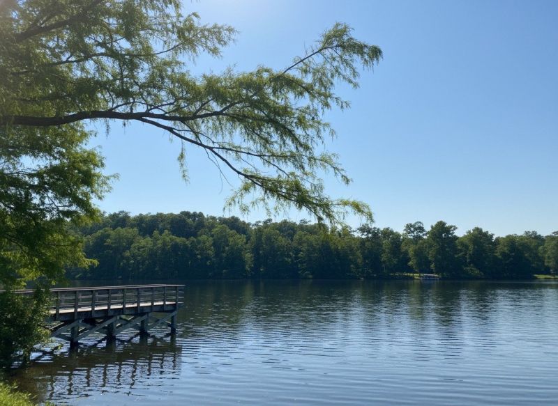 Cameron, SC